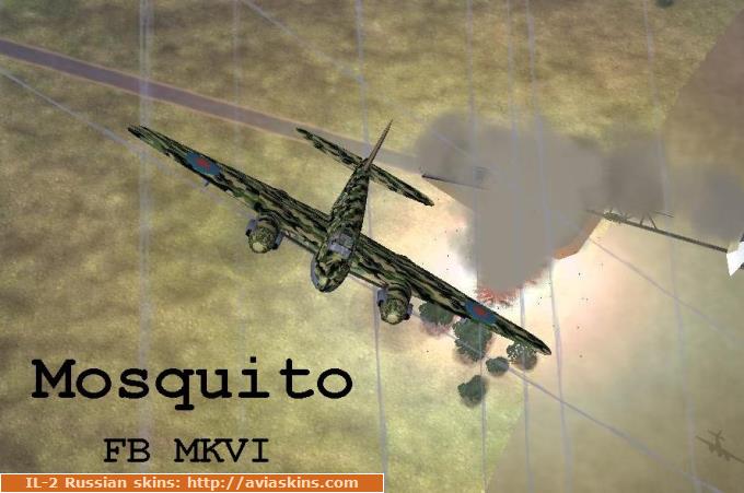 Jungle mosquito